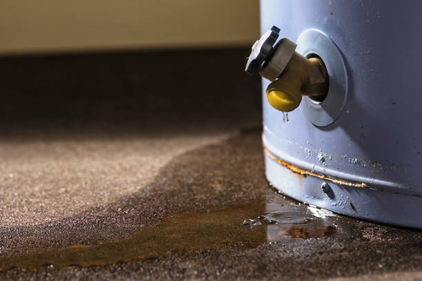 Best Carpet water damage restoration  in Timber Pines, FL