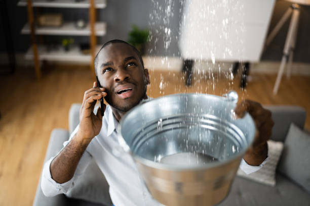 Best Water damage restoration near me  in Timber Pines, FL