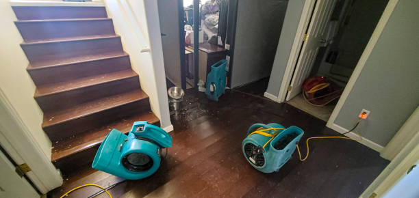 Timber Pines, FL Water damage restoration Company