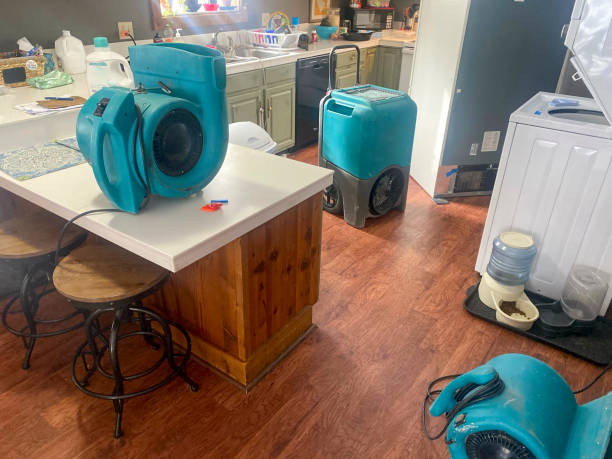 Timber Pines, FL Water damage restoration Company