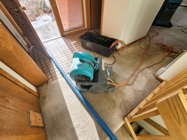 Best Water damage restoration specialists  in Timber Pines, FL