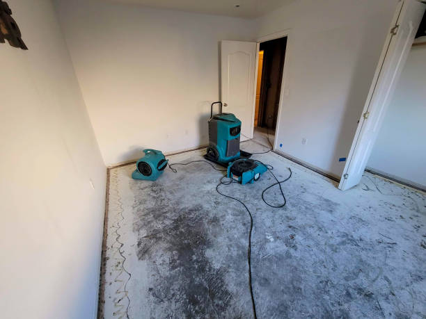 Best Water damage contractors near me  in Timber Pines, FL