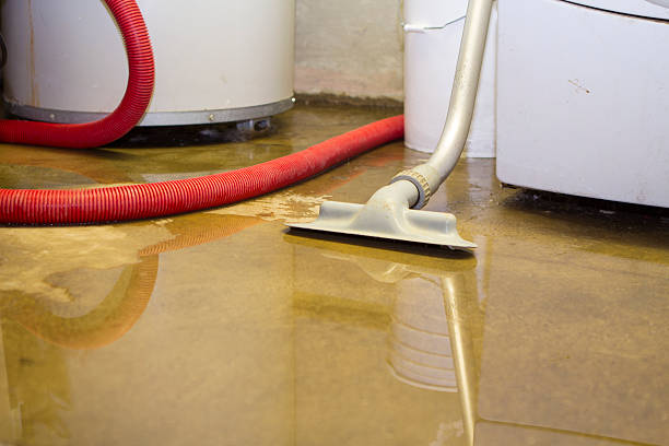Best Flood restoration services  in Timber Pines, FL