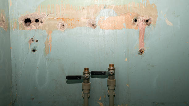 Best Flood damage cleanup  in Timber Pines, FL