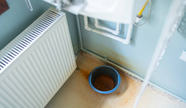 Best 24/7 water damage repair  in Timber Pines, FL