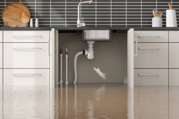 Best Flooded house restoration  in Timber Pines, FL