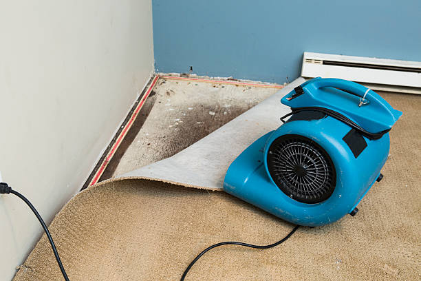 Best Fire Damage Restoration  in Timber Pines, FL